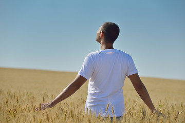 Image showing man in wheat field