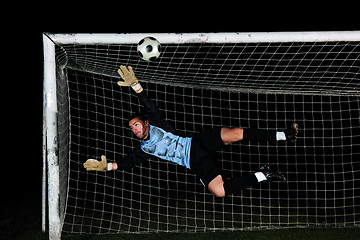 Image showing goalkeeper