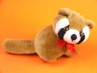 Image showing Cute cuddly brown raccoon toy