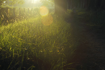 Image showing sunrise in beautiful alley