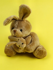 Image showing Bunny rabbit cuddly toy