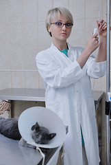 Image showing Female veterinary