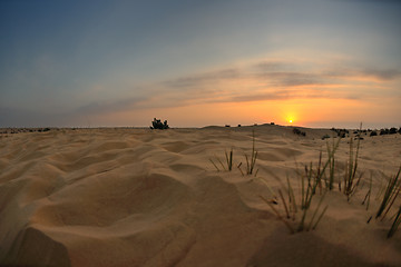 Image showing beautiful sunset in desert