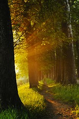 Image showing sunrise in beautiful alley