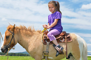 Image showing child ride pony