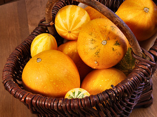 Image showing Mini pumpkins in a basket