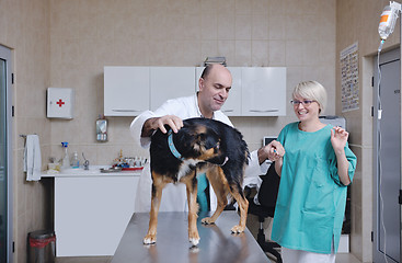 Image showing veterinarian and assistant in a small animal clinic