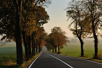 Image showing country road