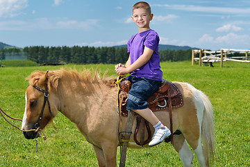 Image showing child ride pony