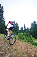 Image showing mountain bike