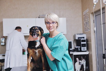 Image showing veterinarian and assistant in a small animal clinic