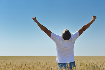 Image showing man in wheat field