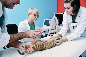 Image showing veterinarian and assistant in a small animal clinic