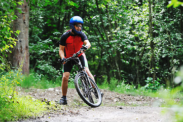 Image showing mountain bike