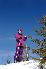 Image showing winter woman ski