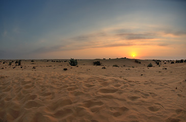 Image showing beautiful sunset in desert