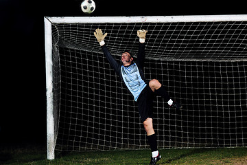 Image showing goalkeeper