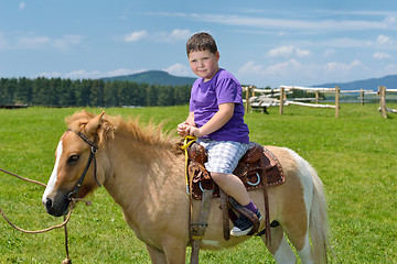 Image showing child ride pony