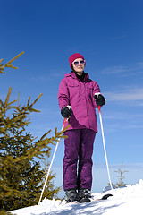 Image showing winter woman ski