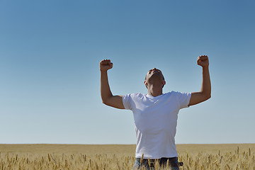 Image showing man in wheat field