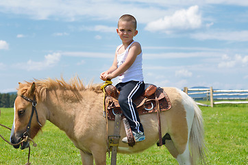 Image showing child ride pony