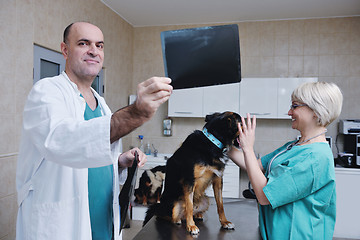 Image showing veterinarian and assistant in a small animal clinic