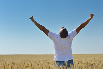 Image showing man in wheat field