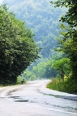 Image showing country side road in green forest