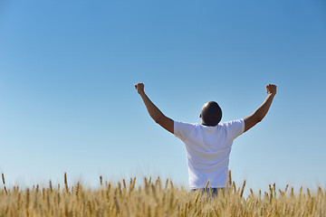 Image showing man in wheat field