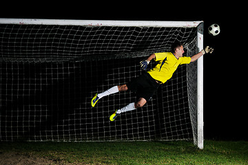 Image showing goalkeeper