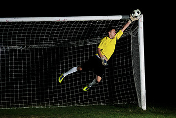 Image showing goalkeeper