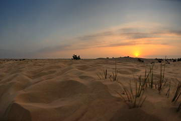 Image showing beautiful sunset in desert