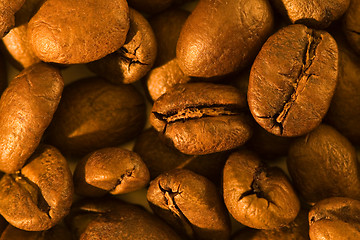 Image showing Coffee beans