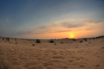 Image showing beautiful sunset in desert