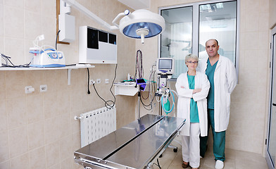 Image showing veterinarian and assistant in a small animal clinic