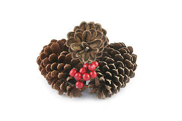 Image showing Pine cones and berries