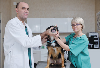 Image showing veterinarian and assistant in a small animal clinic