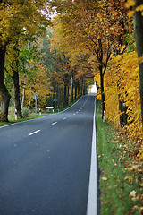 Image showing country road