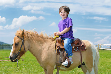 Image showing child ride pony