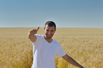 Image showing man in wheat field