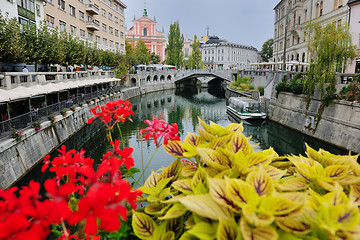 Image showing ljubljana capital of slovenia