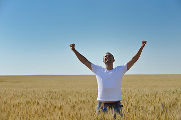 Image showing man in wheat field