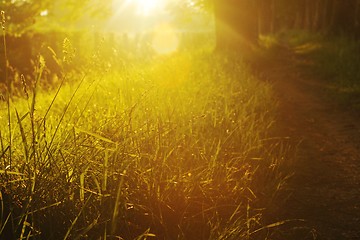 Image showing sunrise in beautiful alley