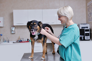 Image showing veterinarian and assistant in a small animal clinic