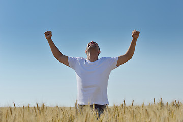 Image showing man in wheat field