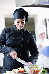 Image showing chef preparing meal