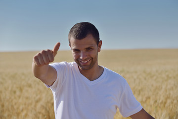 Image showing man in wheat field