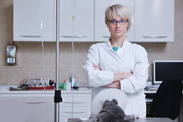 Image showing Female veterinary