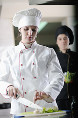 Image showing chef preparing meal