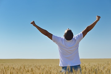 Image showing man in wheat field